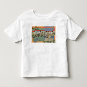 Colorado (State Capital Scene) Toddler T-Shirt