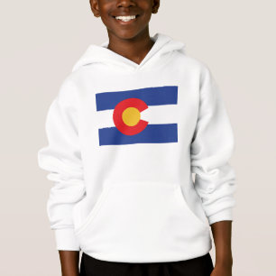 Colorado State Flag