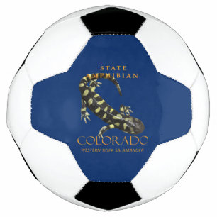 Colorado Territory Amphibian The Barred Tiger Football