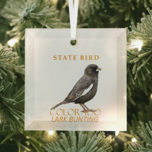 Colorado Territory Bird The Lark Bunting Glass Tree Decoration