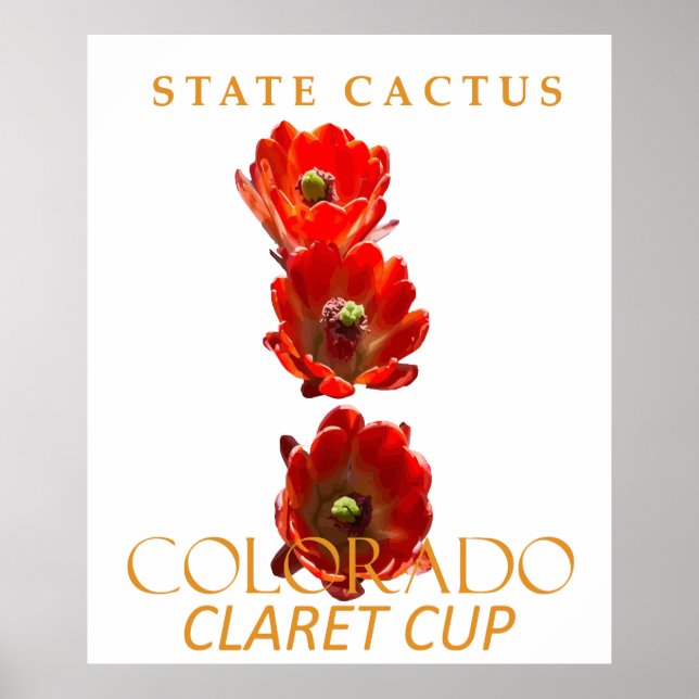 Colorado Territory Cactus The Claret Cup Poster (Front)