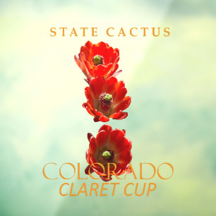 Colorado Territory Cactus The Claret Cup Window Cling