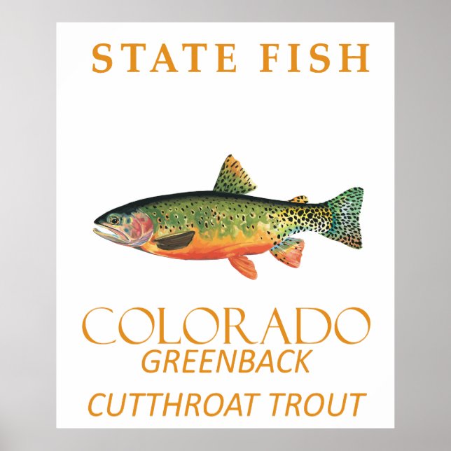 Colorado Territory Fish The Greenback Trout Poster (Front)