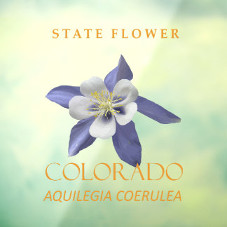 Colorado Territory Flower Aquilegia coerulea Window Cling