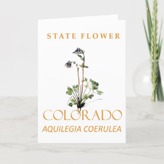 Colorado Territory Flower Blue Aquilegia coerulea Holiday Card