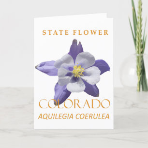 Colorado Territory Flower Blue Aquilegia coerulea Holiday Card