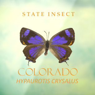 Colorado Territory Insect The Hairstreak Butterfly Window Cling