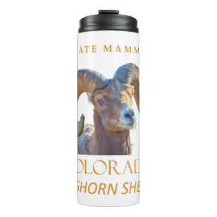 Colorado Territory Mammal The Bighorn Sheep Thermal Tumbler