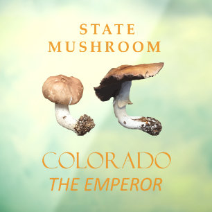 Colorado Territory Mushroom The Emperor Window Cling