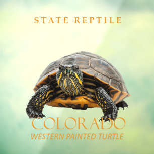 Colorado Territory Reptile Western Painted Turtle Window Cling