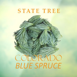Colorado Territory Tree The Blue Spruce Window Cling