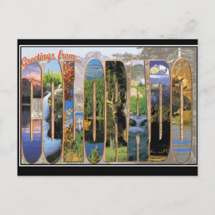 Colorado Vintage Postcard