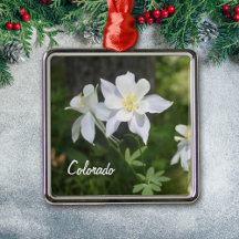 Colorado White Columbine Christmas Ornament