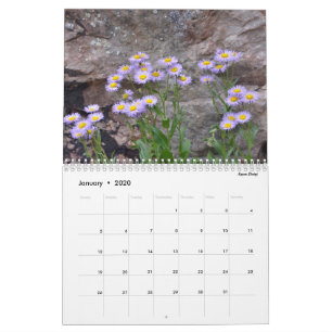 Colorado Wildflowers Calendar