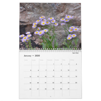 Colorado Wildflowers Calendar