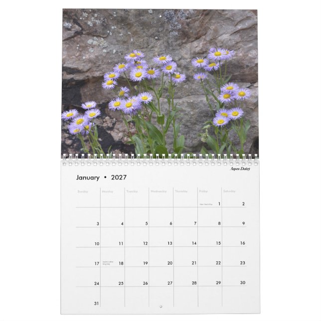 Colorado Wildflowers Calendar (Jan 2027)