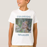 Colorado Wildlife: Chipmunk
