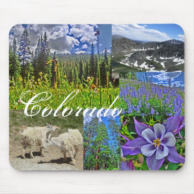 Colorado wildlife mousepad (Front)