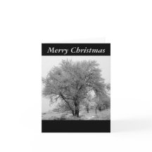 Colorado Winter Christmas Card