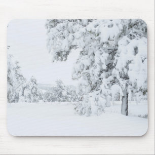 Colorado Winter Mouse Mat