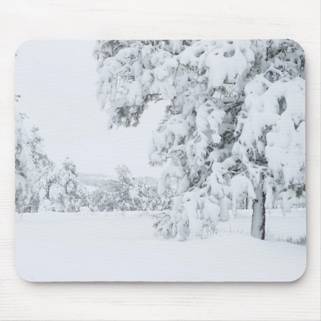 Colorado Winter Mouse Mat (Front)