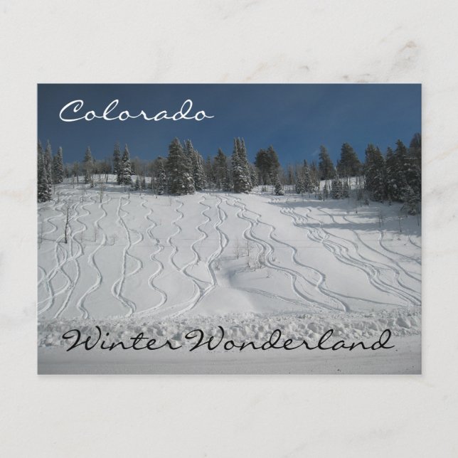 Colorado winter wonderland postcard (Front)