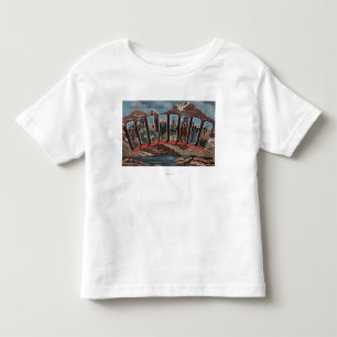 ColoradoLarge Letter ScenesColorado Toddler T-Shirt