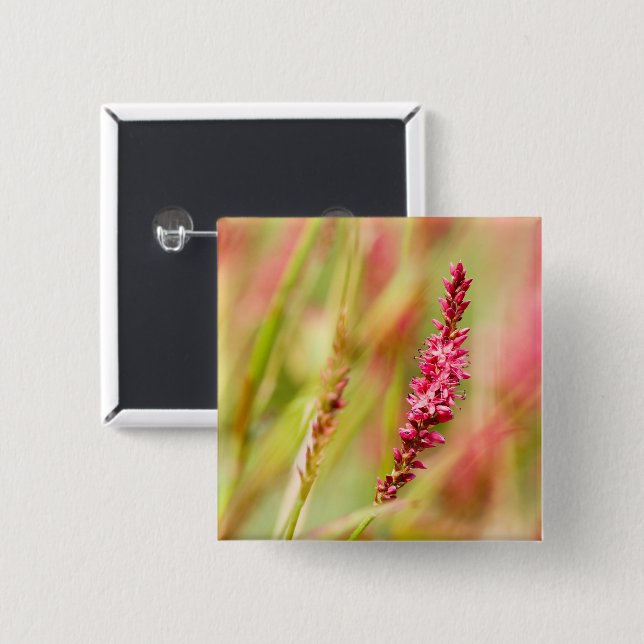 colorbush 15 cm square badge (Front & Back)