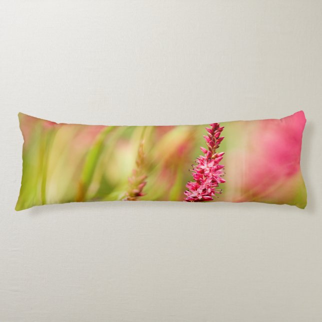 colorbush body cushion (Front)