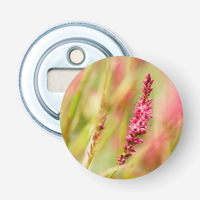 colorbush bottle opener (Front)