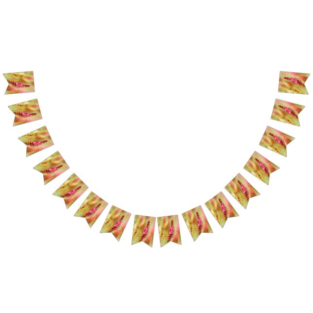 colorbush bunting  (All)