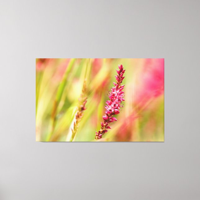 colorbush canvas print (Front)