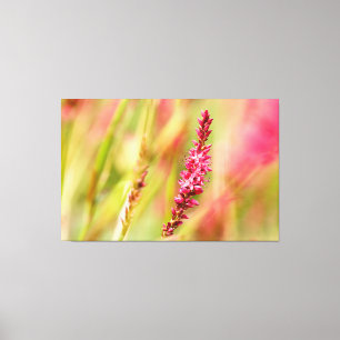 colorbush canvas print