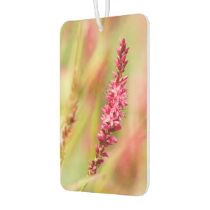 colorbush car air freshener