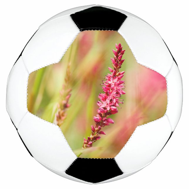 colorbush football (Front)