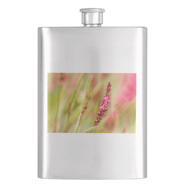 colorbush hip flask (Front)