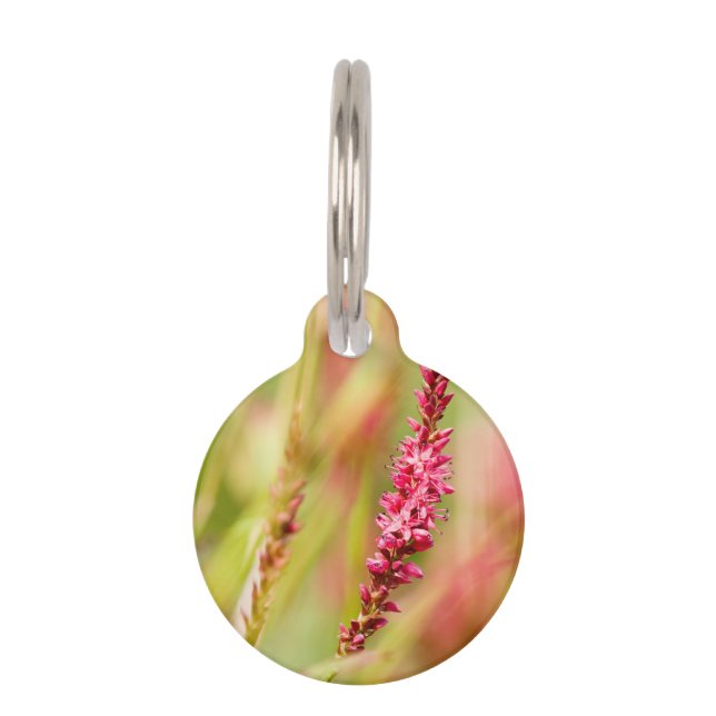 colorbush pet tag (Front)