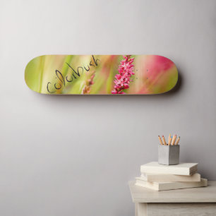 colorbush skateboard