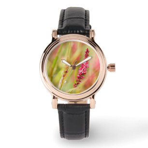 colorbush watch