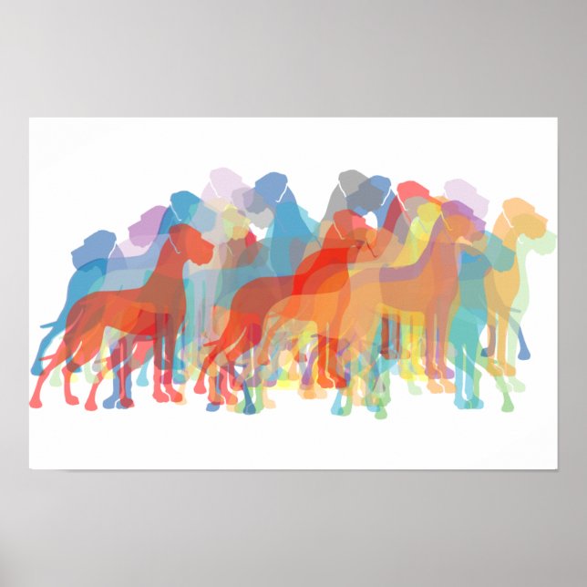 Colored Danes Poster (Front)