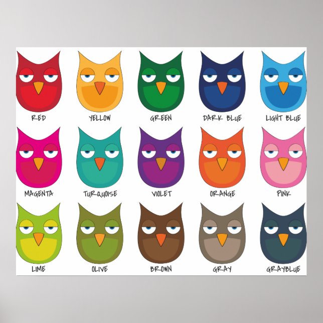 Colored Owls / Coloured Owls Poster (Front)