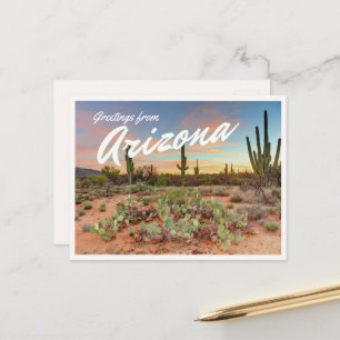 Colorful Arizona Sunset Saguaro Cactus Greetings Postcard