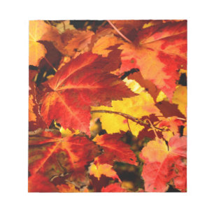 Colorful Autumn Leaves, gold red orange maple leaf Notepad