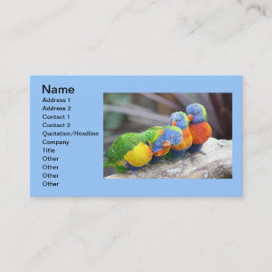 COLORFUL BIRDS BUSINESS CARD