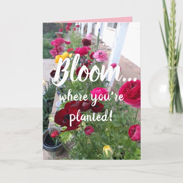 Colorful Bloom Where You're Planted Flower Card (Front)