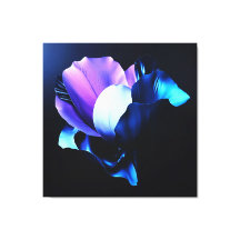 Colorful Blossoms in Darkness