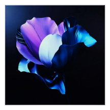 Colorful Blossoms in Darkness