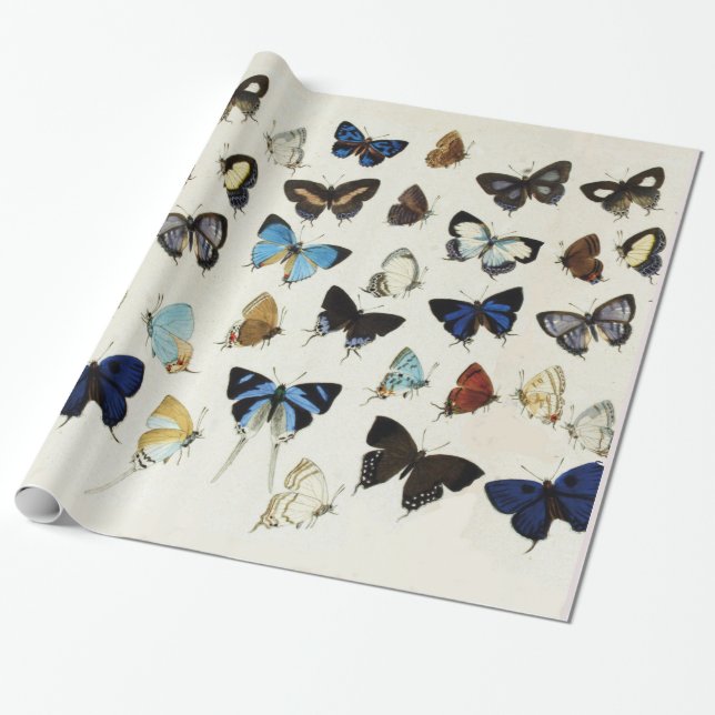 COLORFUL BUTTERFLIES Beauty Nature Lover Wrapping Paper (Unrolled)