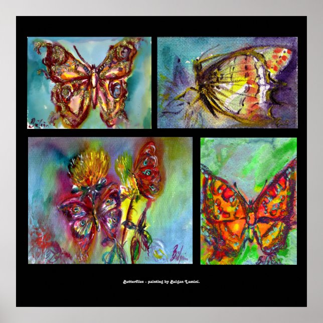 COLORFUL BUTTERFLIES  COLLECTION POSTER (Front)