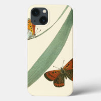 Colorful Butterflies Fluttering Around a Leaf